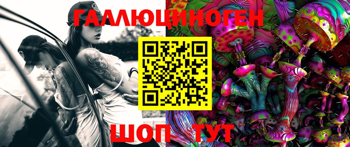 Псилоцибиновые грибы MAGIC MUSHROOMS  купить закладку  Урус-Мартан  Вход с VPN 