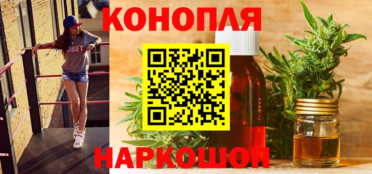 Конопля сатива Урус-Мартан